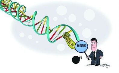 利用恐惧误导消费者 宣传非转基因 广告被禁